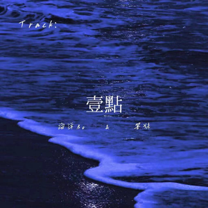 91麻豆精品91久久久ios版
