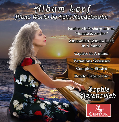 91麻豆精品91久久久ios版
